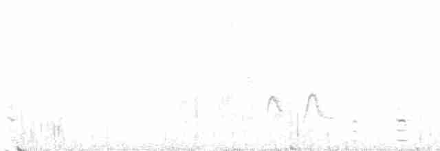 Magellanic Snipe - ML613809644