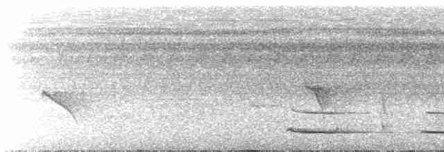 Northern Black-throated Trogon - ML613810269