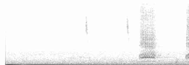 Cuervo Grande - ML613811143