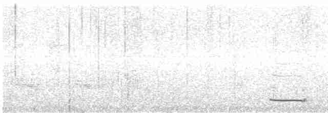 Grallaire à gorge blanche - ML613811285