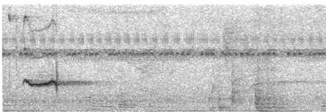 Дрізд чорнодзьобий (підвид debilis) - ML613811300