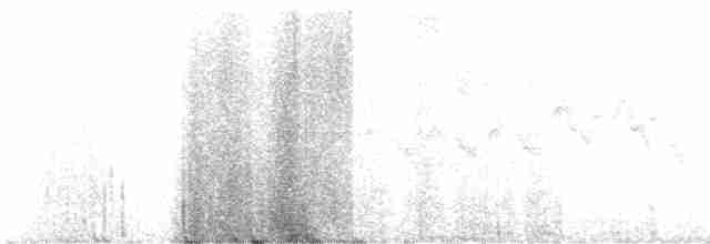Пісняр-лісовик жовтогузий (підвид auduboni) - ML613811576