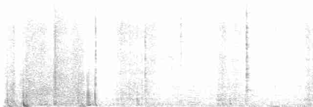 Черноголовый толстонос - ML613812154