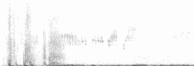 Карнатка лучна - ML613812499