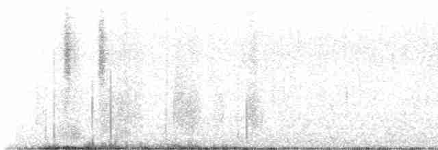 Болотный крапивник [группа plesius] - ML613813004
