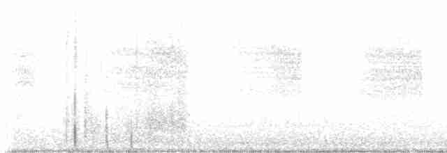 Bewick Çıtkuşu - ML613813301