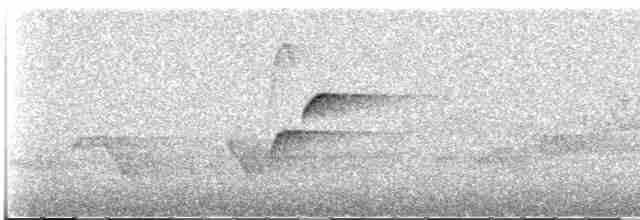 Batı Amerika Sinekkapanı (occidentalis/hellmayri) - ML613813343