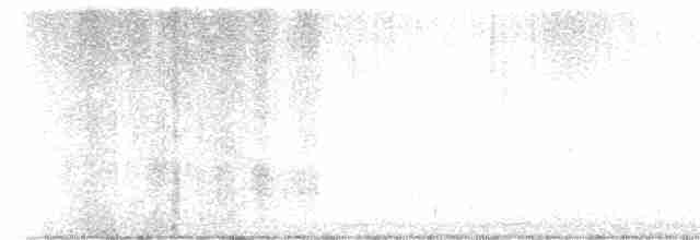 Cygne siffleur - ML613815917