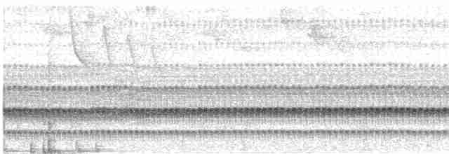 Mérulaxe de Spillmann - ML613816049