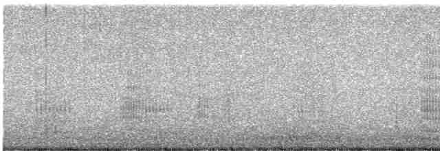 Neotropic Cormorant - ML613816771