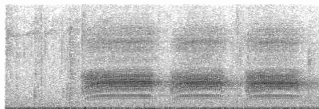 Göknar Kargası - ML613818016
