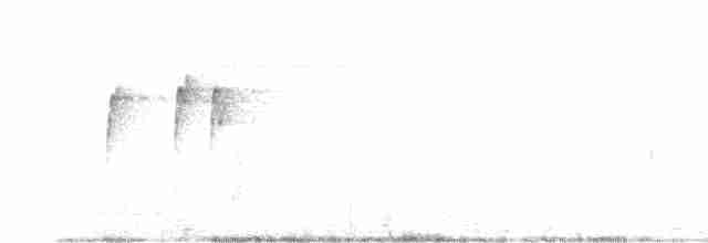 Gray-headed Tody-Flycatcher - ML613818033