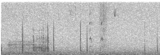 Troglodyte des forêts - ML613819099