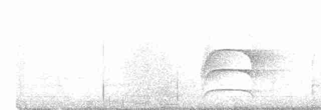 Cinereous Tinamou - ML613822138