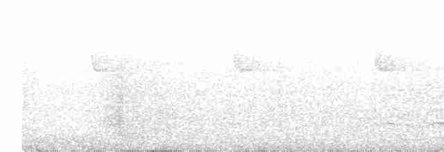 Tinamou cendré - ML613822139
