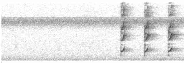 Todirostre de Kaempfer - ML613822254