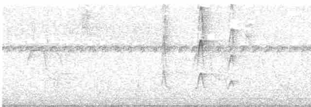 Тиранчик-довгохвіст рудокрилий - ML613823996