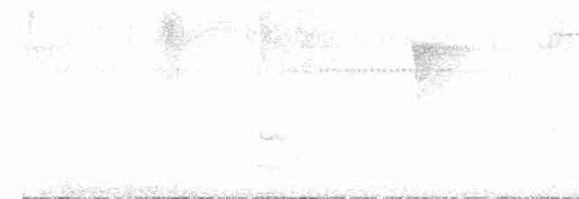 Чешуйчатогрудый пересмешник - ML613824207