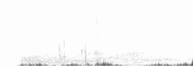 White-browed Meadowlark - ML613825245