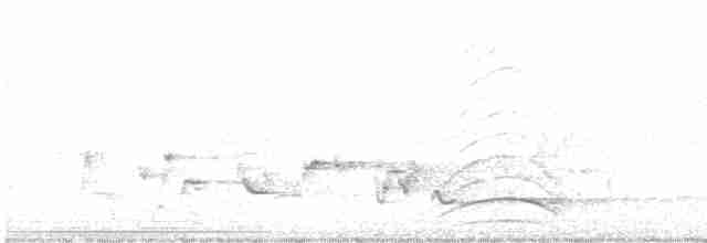 Malabar Gray Hornbill - ML613826234