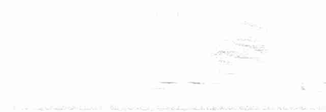 Japanese Bush Warbler - ML613826363