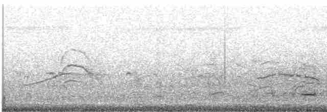 Aigrette roussâtre - ML613826582