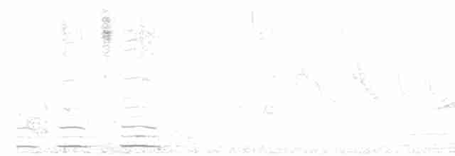 אווז הוואי - ML613826760