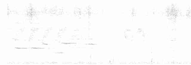 Елепайо гавайський (підвид ridgwayi) - ML613827422