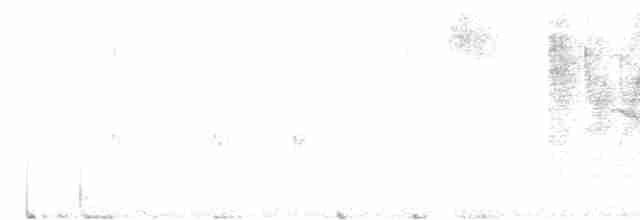 Елепайо гавайський (підвид ridgwayi) - ML613828390