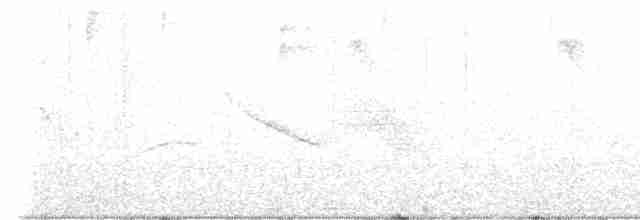 svartkroneløvtyrann - ML613829950