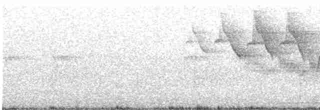 Cerulean Warbler - ML613831185