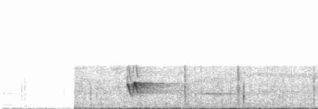 Rostbrust-Ameisendrossel - ML613833941