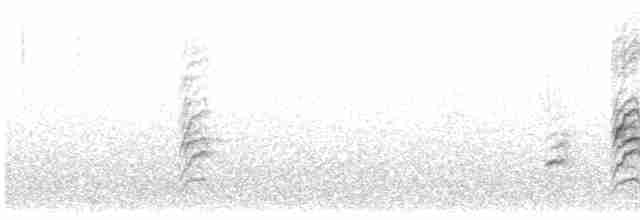 Magellandrossel (magellanicus/pembertoni) - ML613838413