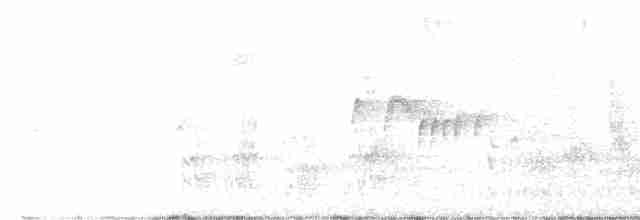 Vireo Ojiblanco - ML613838446