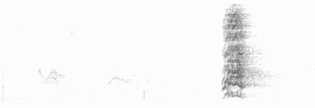 Conure magellanique - ML613839236