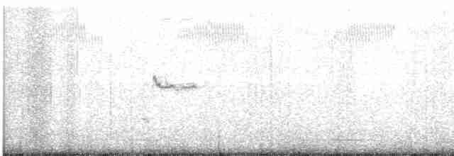 Loggerhead Shrike - ML613840364