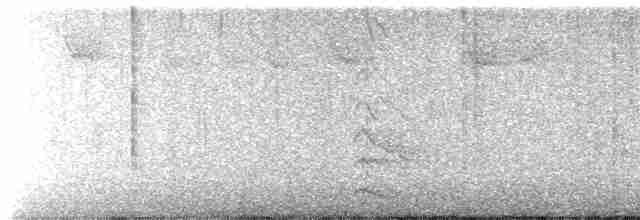 Желтобрюхий дятел-сокоед - ML613840586