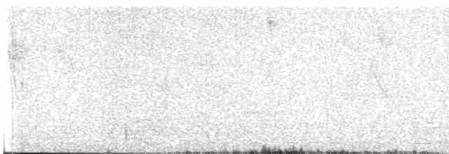 Andean Tinamou - ML613843799