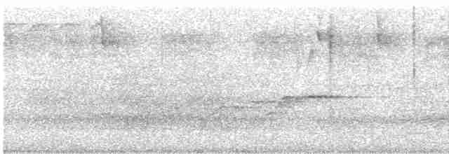 Сичик-горобець андійський - ML613844442