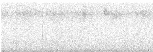 Сичик-горобець андійський - ML613844448