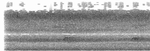 Brown-crested Flycatcher - ML613845992