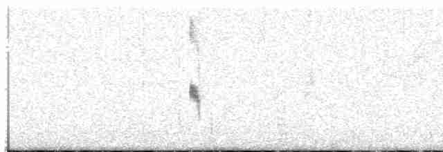 Каньонный крапивник - ML613849013