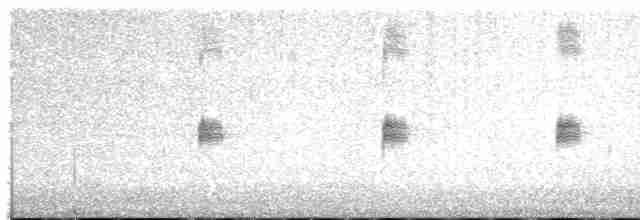 Каньонный крапивник - ML613849014