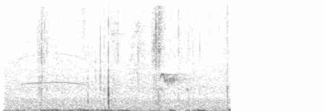 Brown-crested Flycatcher - ML613849065