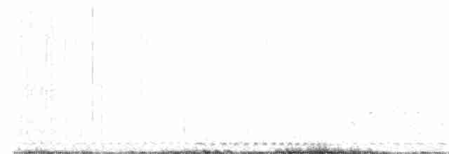 Texasnachtschwalbe - ML613849450
