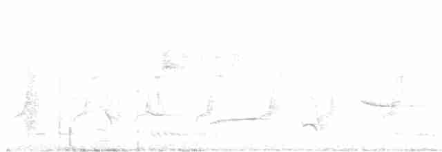 Tawny-bellied Babbler - ML613850140