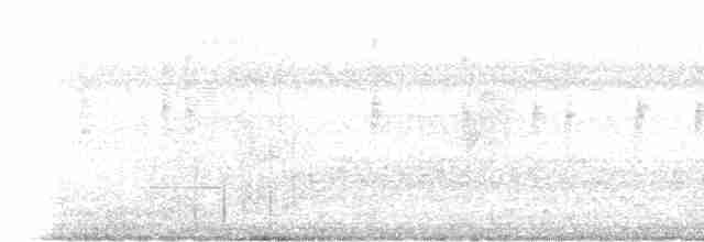 Малая пестрогрудка - ML613850428