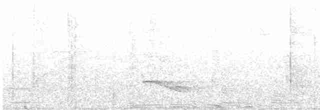 Gurney Ardıcı - ML613851513