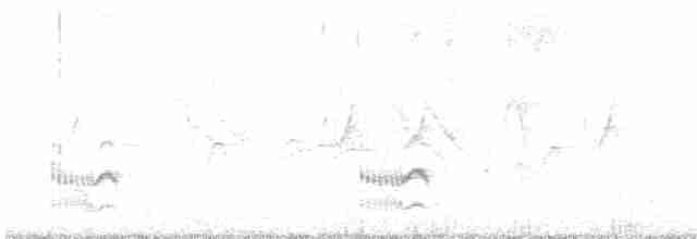 Mérulaxe sombre - ML613858534