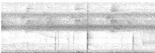 Ерміт довгодзьобий - ML613859211